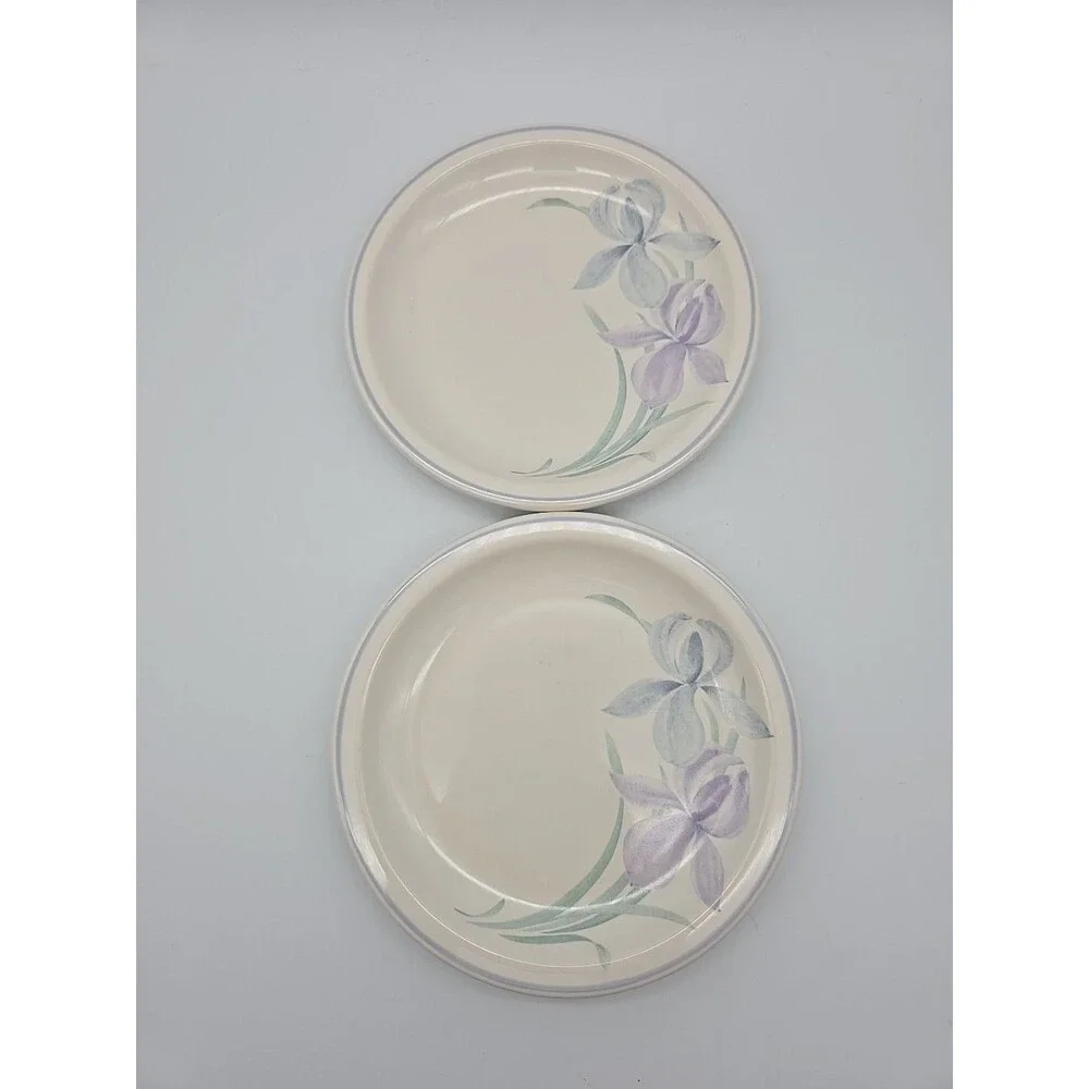 Set of 2 Pfaltzgraff Spring Song Iris 6.5” Bread Cake Plates USA NICE